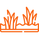 orange grass icon